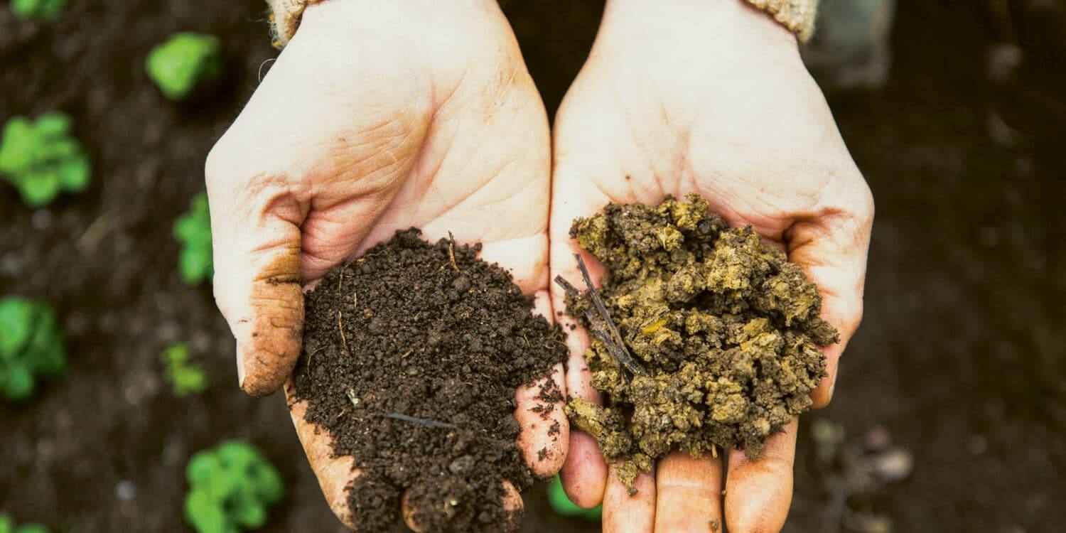 Biodynamik in der Schweiz